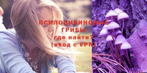 гидропоника Гусев
