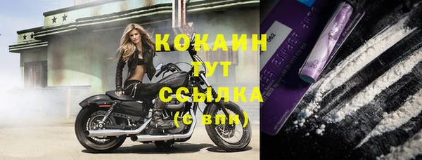 стаф Гусиноозёрск