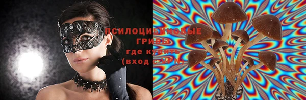 стаф Гусиноозёрск