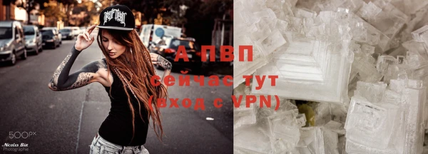 стаф Гусиноозёрск